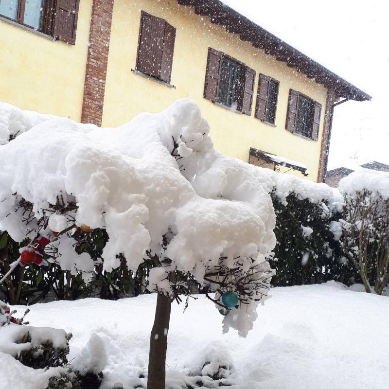 Fotosegnalazione di Cura carpignano