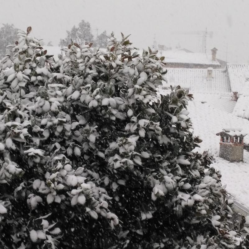 Nevica x chiudere il 2020 in bellezza