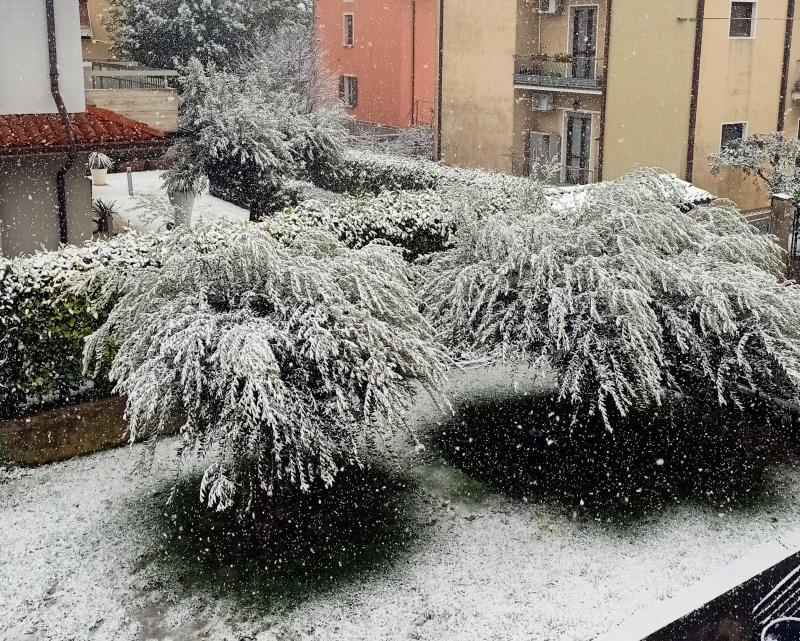 Nevica