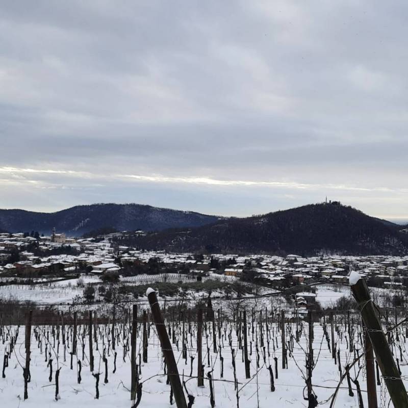 Fotosegnalazione di Monticelli brusati
