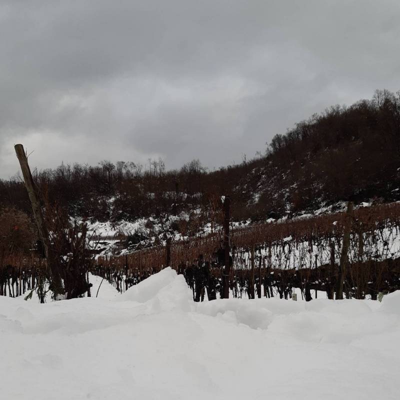 Fotosegnalazione di Grumello del monte