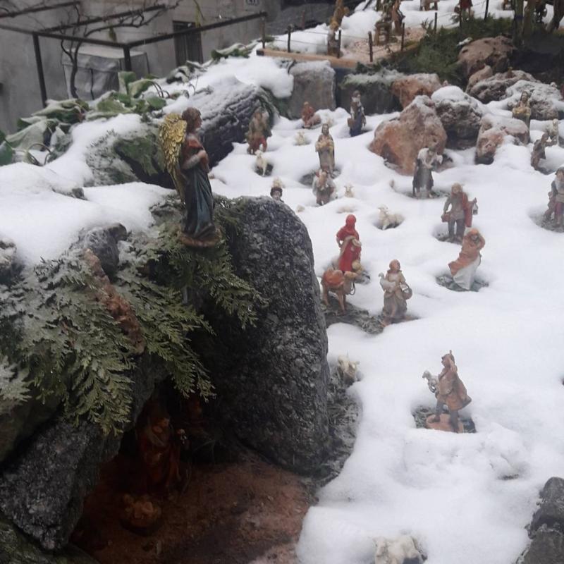 Fotosegnalazione di Pognana lario