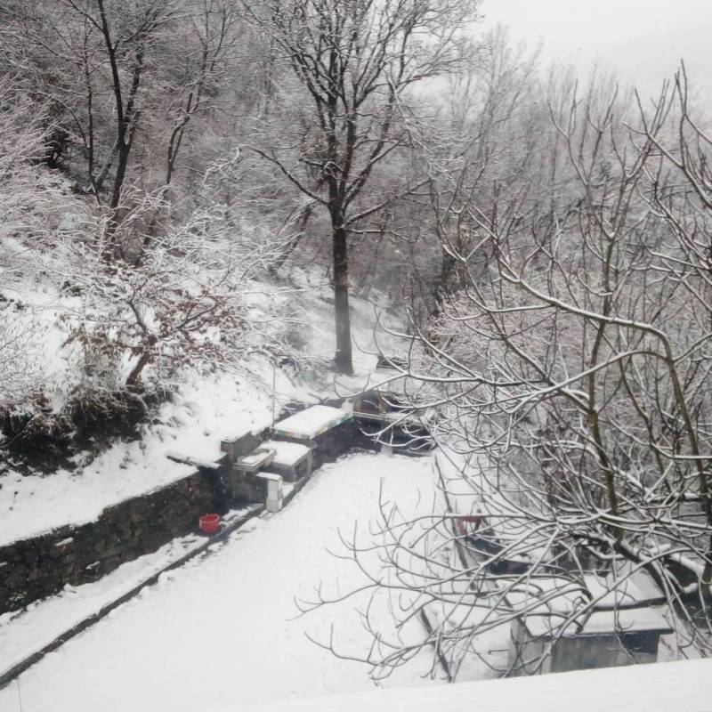Prima neve del 2021 a cancellare il 2020