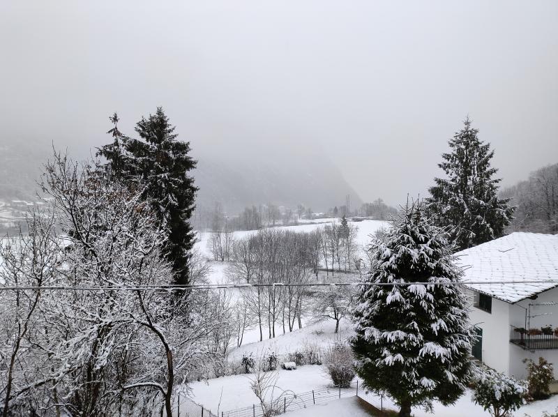 Foere inizio anno
