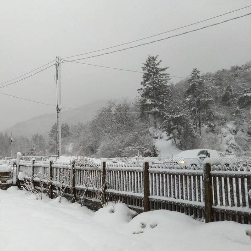 Fotosegnalazione di Bardineto
