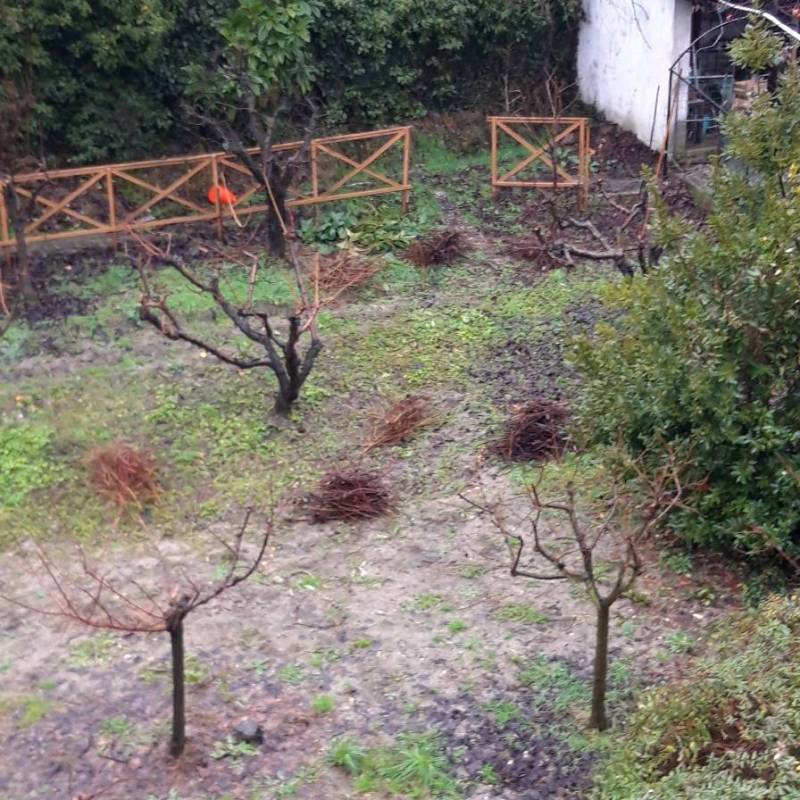 Ma dove nevica