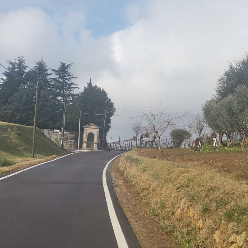 Fotosegnalazione di Lonigo