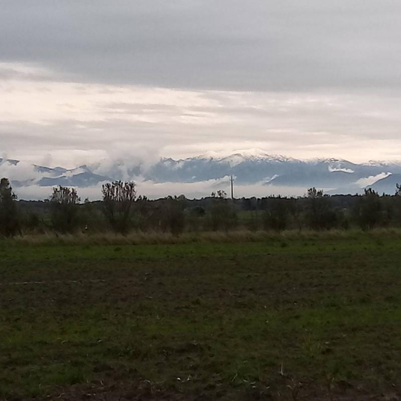 Fotosegnalazione di Uras