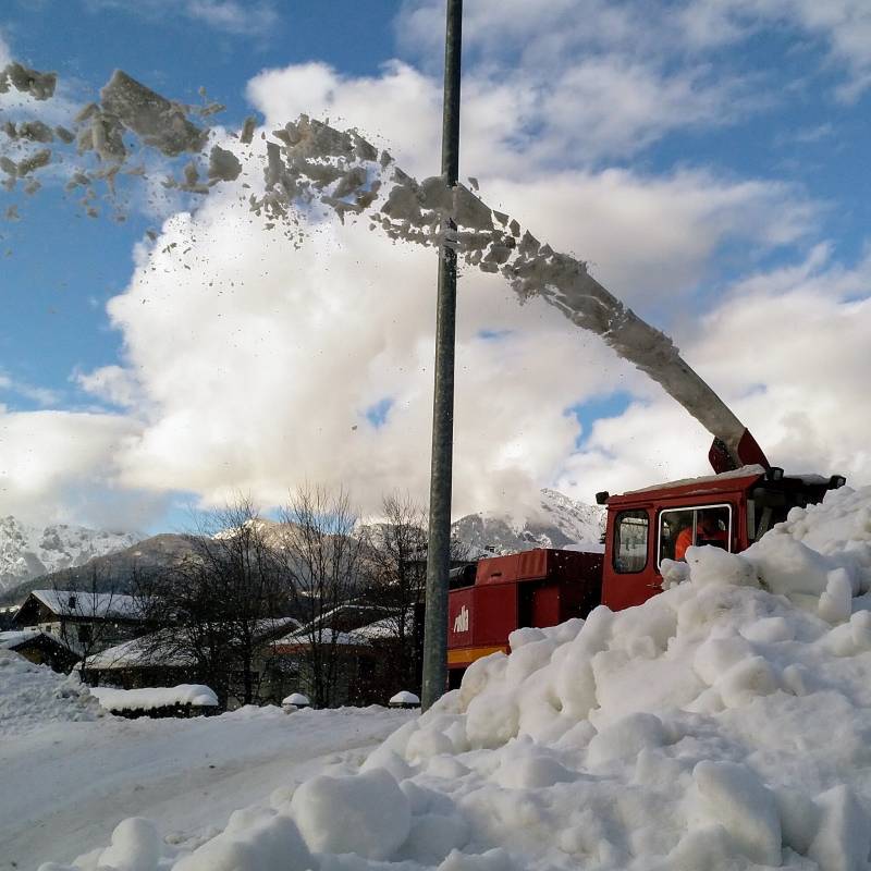 La fresa neve