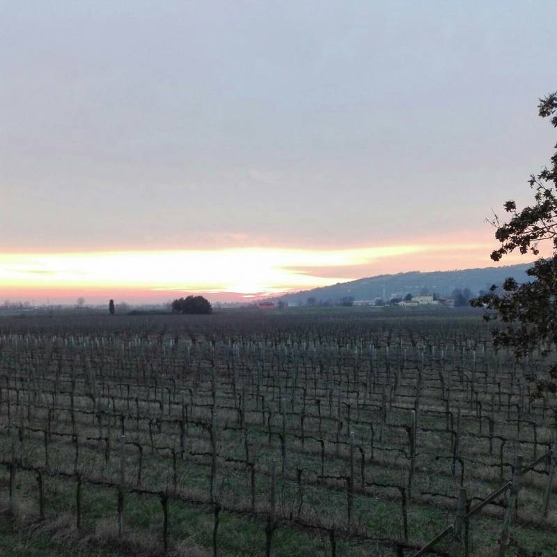 Fotosegnalazione di Lozzo atestino