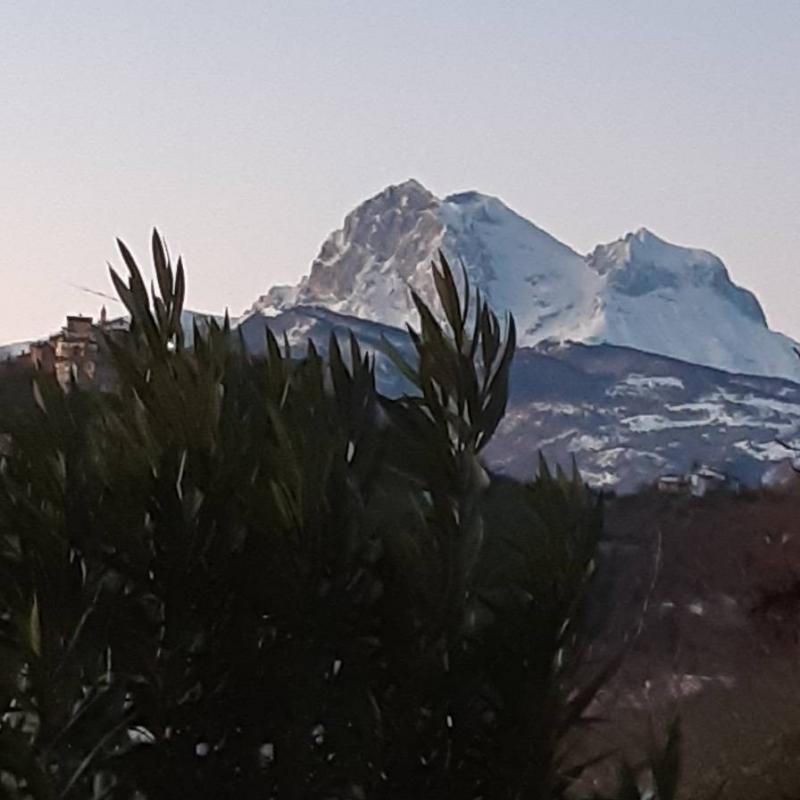 Fotosegnalazione di Teramo
