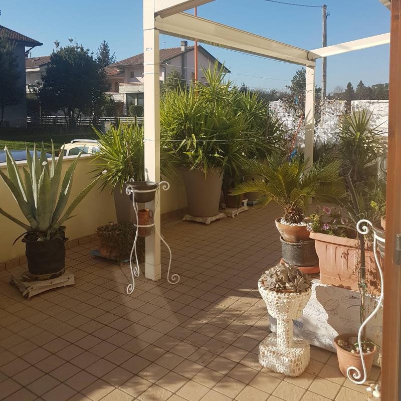 Fotosegnalazione di Cesena