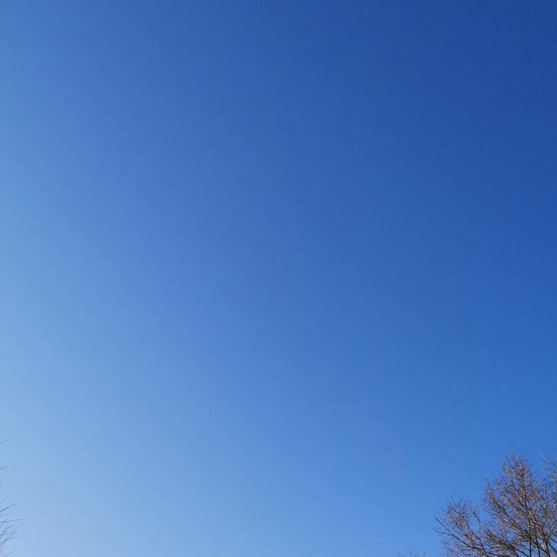 Fotosegnalazione di Ostra vetere