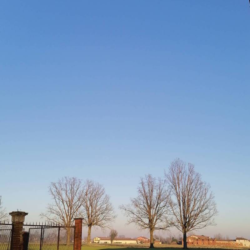 Fotosegnalazione di Malagnino