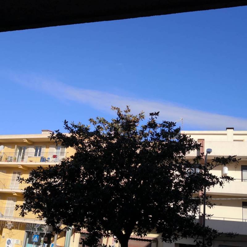 Fotosegnalazione di Pace del mela