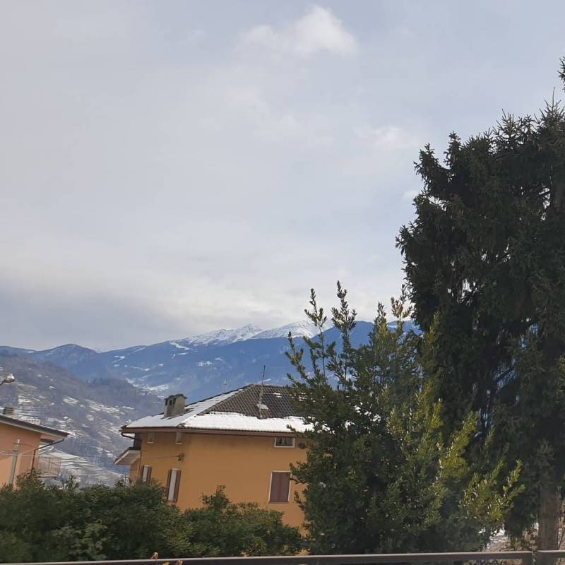 Fotosegnalazione di Ponte in valtellina