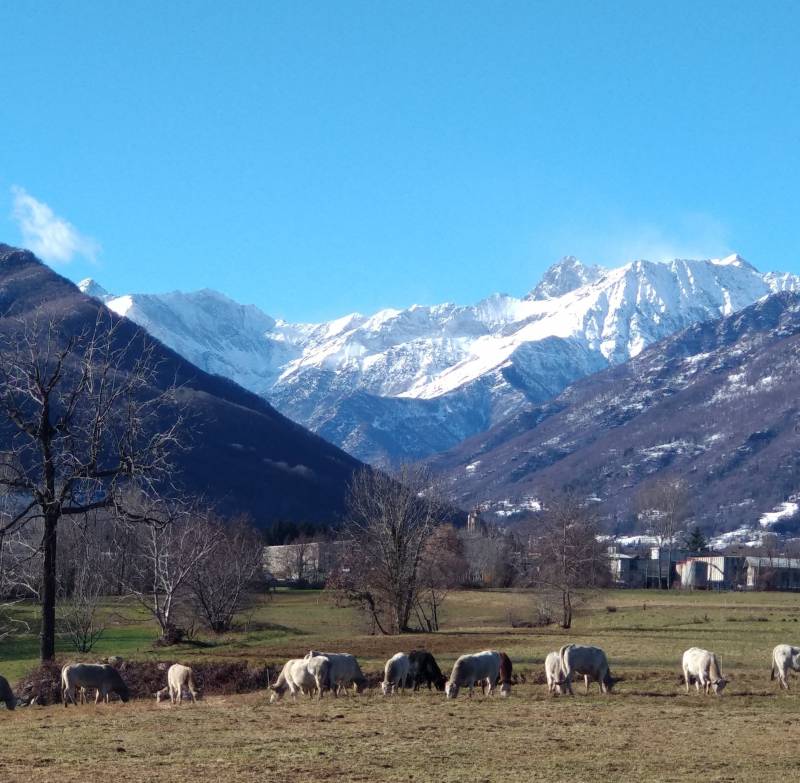 Bufera sulle vette e fhn in fondo valle