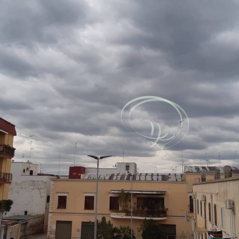 Fotosegnalazione di Palagiano