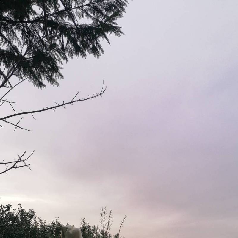Fotosegnalazione di Torre beretti e castellaro