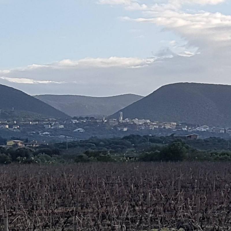 Fotosegnalazione di Sant'anna arresi