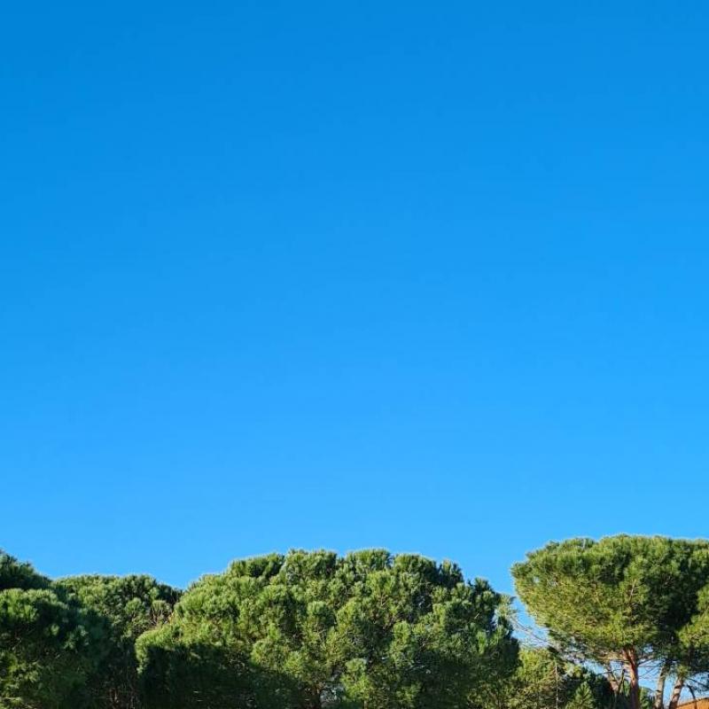 Fotosegnalazione di Terricciola