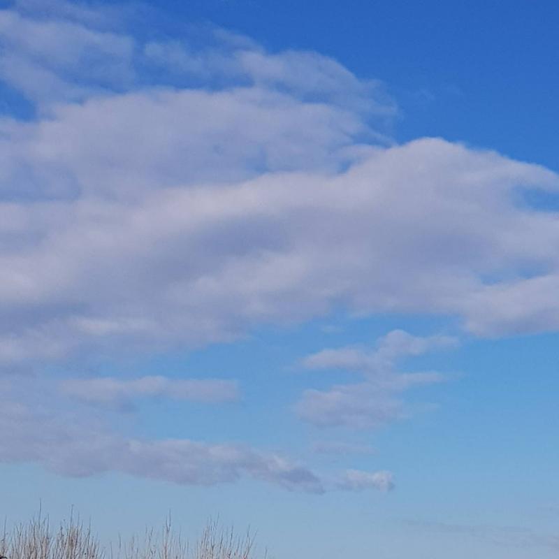 Fotosegnalazione di Riccione