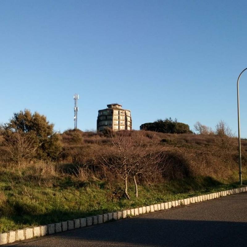 Fotosegnalazione di Tempio pausania