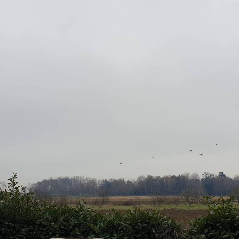 Fotosegnalazione di Savignano sul rubicone