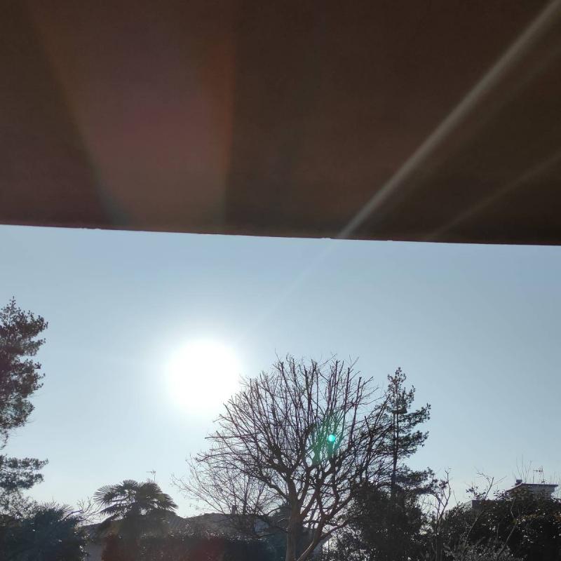 Fotosegnalazione di Busto arsizio