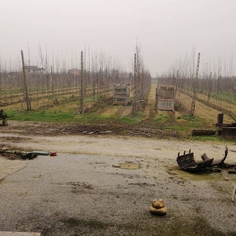 Fotosegnalazione di Massa lombarda