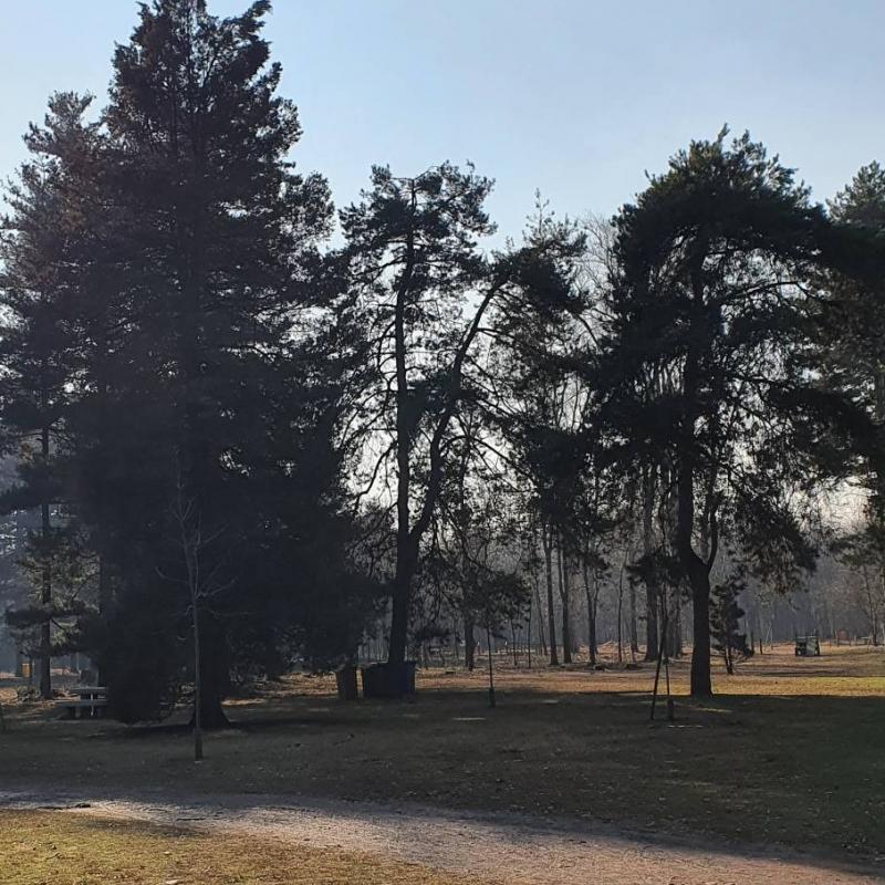 Fotosegnalazione di Castellanza