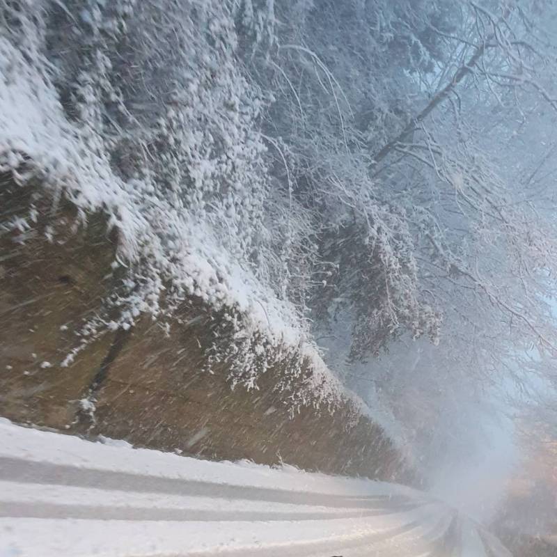 Fotosegnalazione di Montefalcione