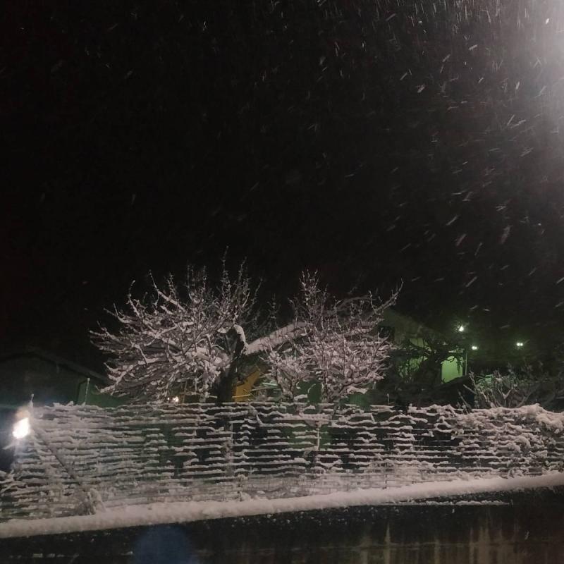 Fotosegnalazione di Latronico