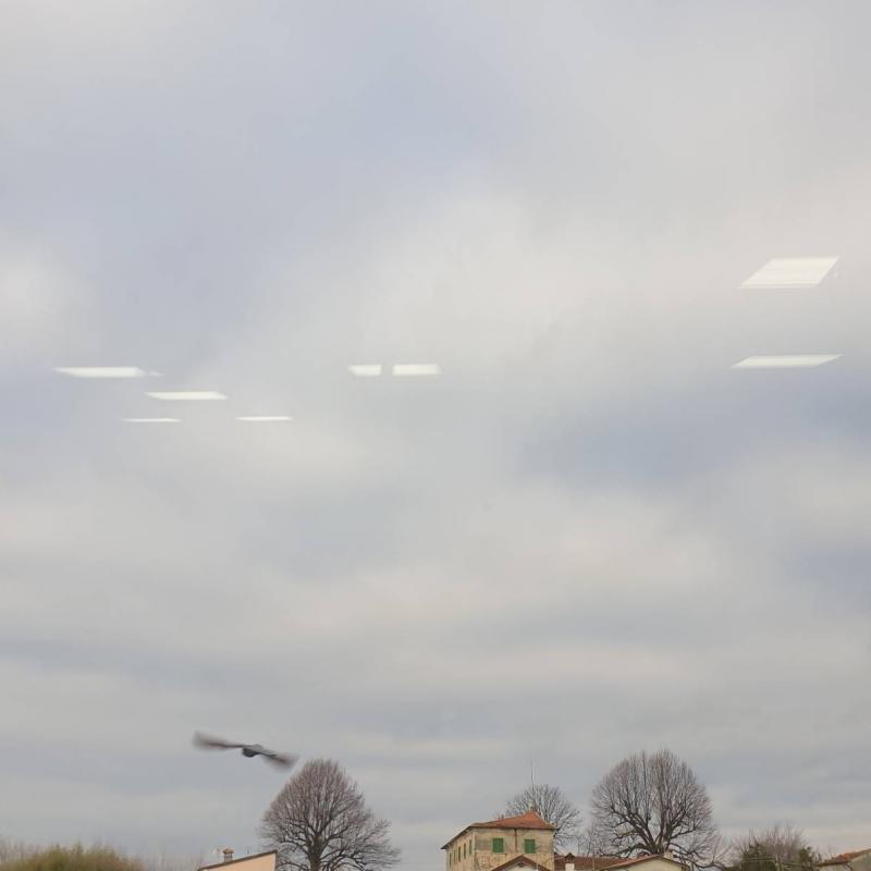 Fotosegnalazione di Sarzana