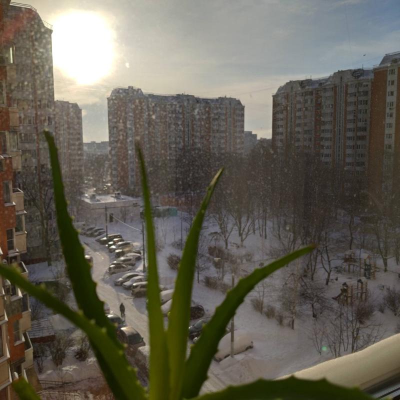 Fotosegnalazione di Severnoye medvedkovo district