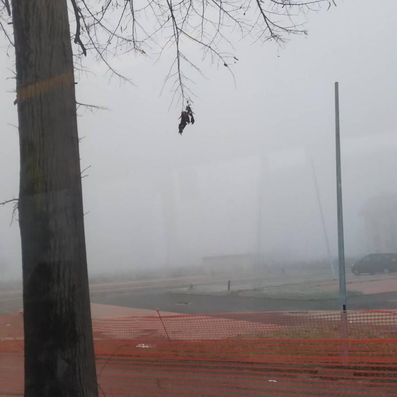 Fotosegnalazione di San giuliano milanese