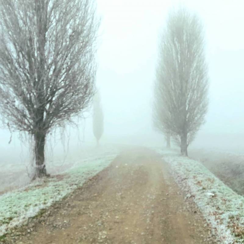 Nebbia e brina
