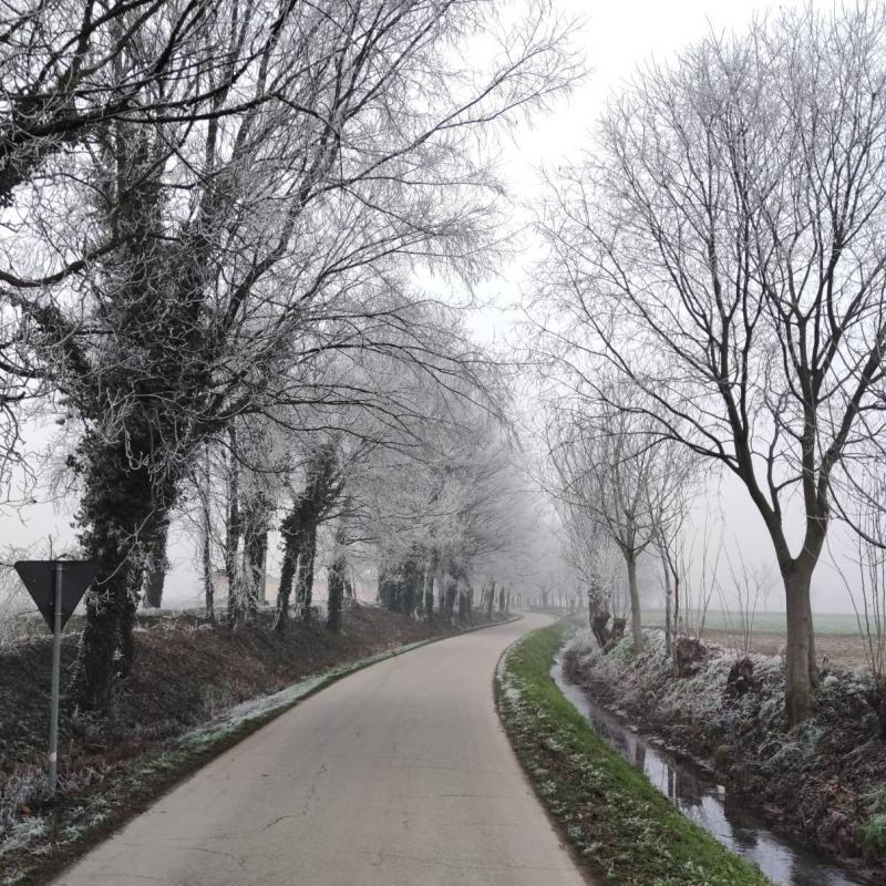 Fotosegnalazione di Volta mantovana