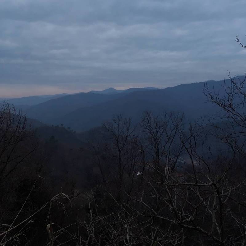 Vista mare albissola da Stella san martino