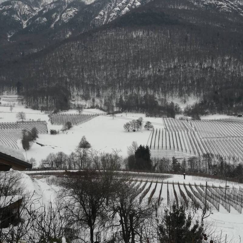 Fotosegnalazione di Altopiano della vigolana