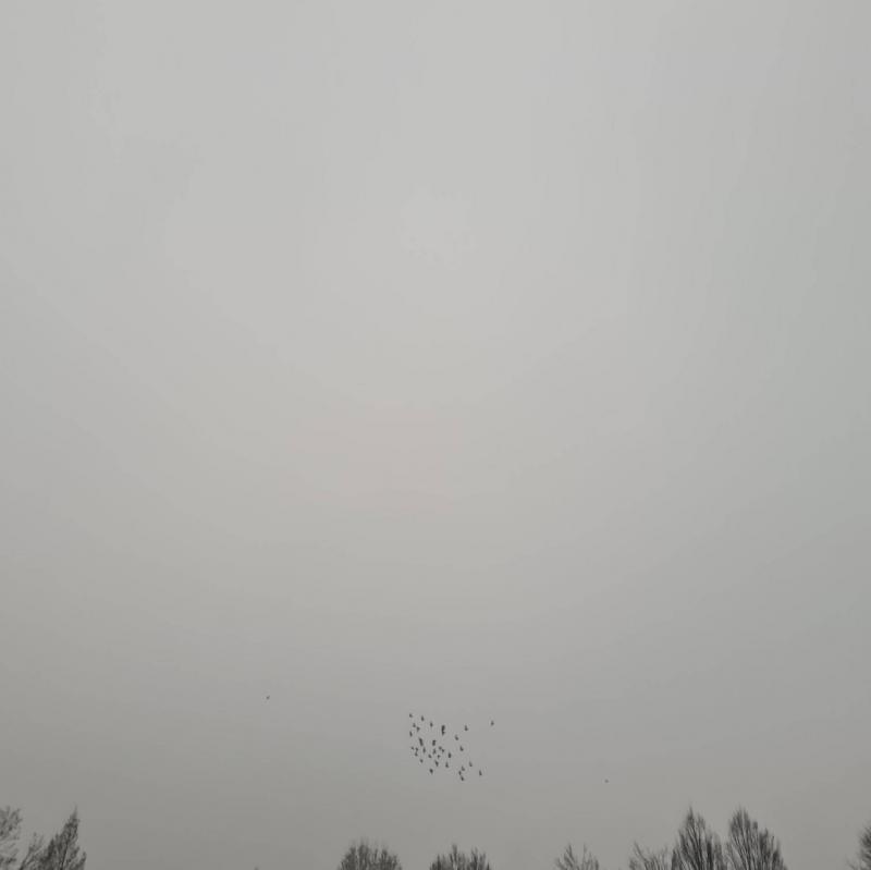 Fotosegnalazione di Caronno pertusella