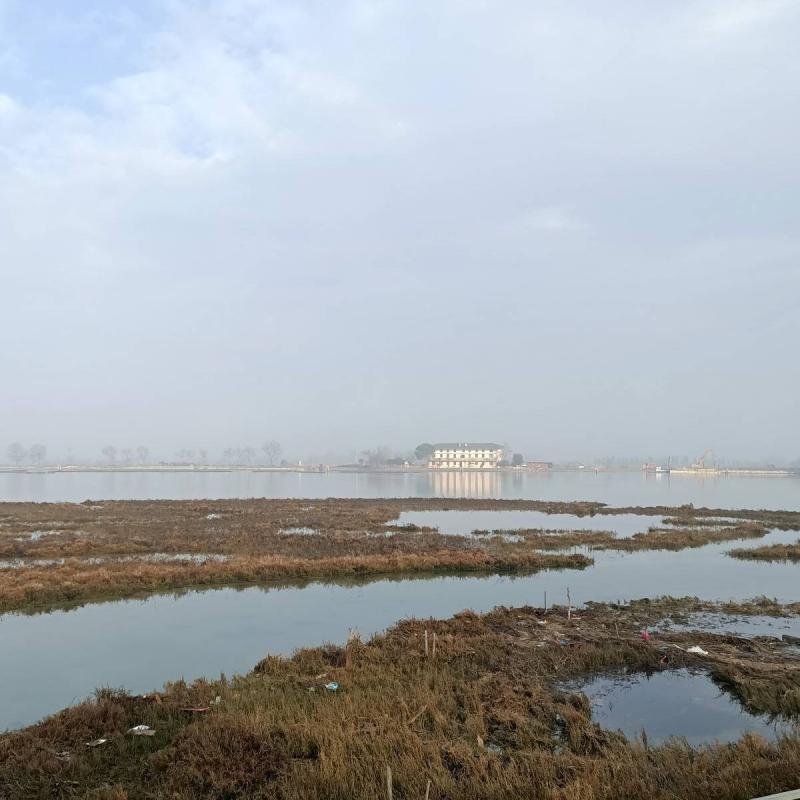 Laguna a cavallino