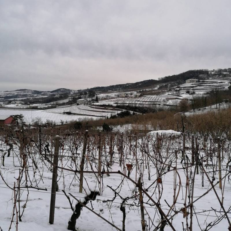 Fotosegnalazione di Cossano belbo