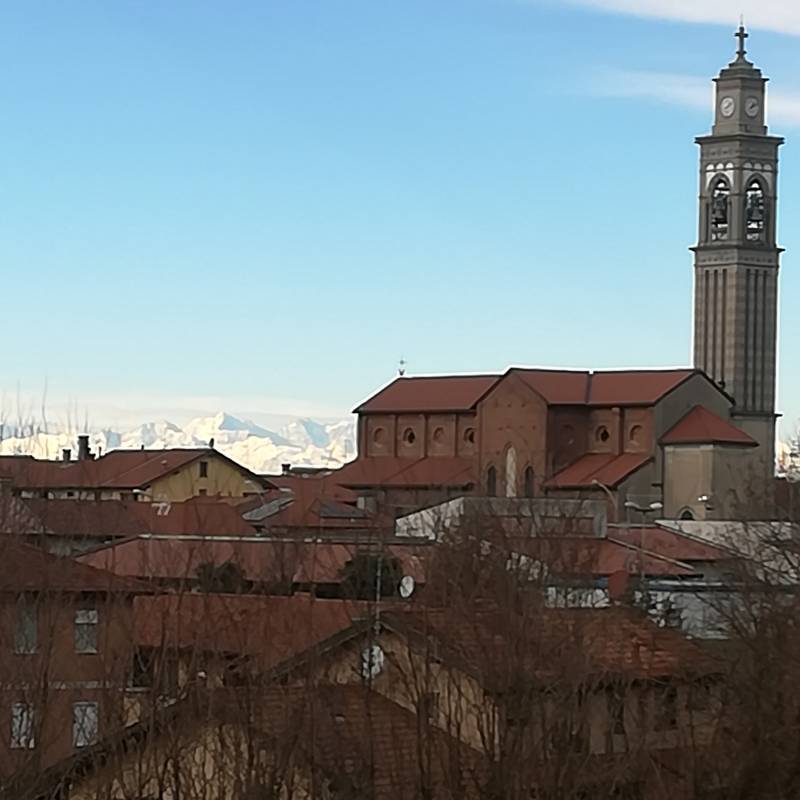 Cogliate sullo sfondo il monte rosa