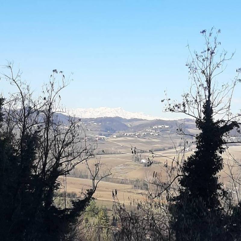 Fotosegnalazione di Moncalvo