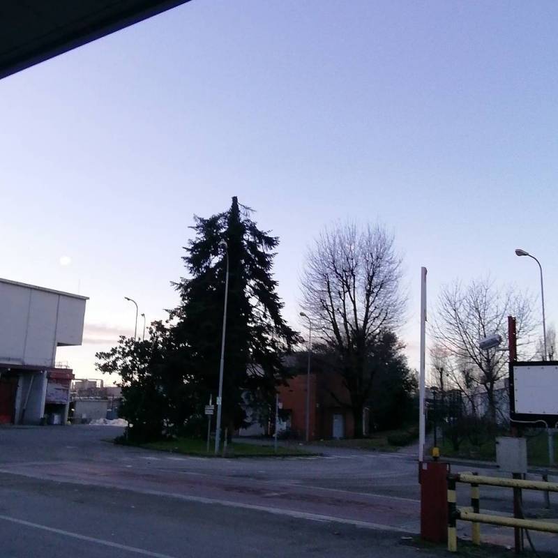 Fotosegnalazione di Sesto san giovanni
