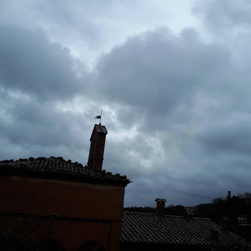 Fotosegnalazione di Volterra