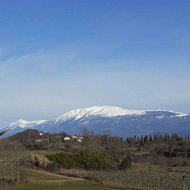 Fotosegnalazione di Padenghe sul garda