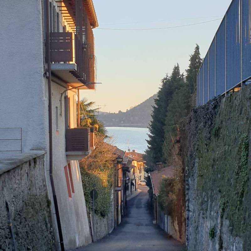 Fotosegnalazione di Travedona monate