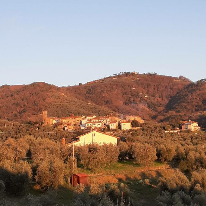Cecina di Larciano